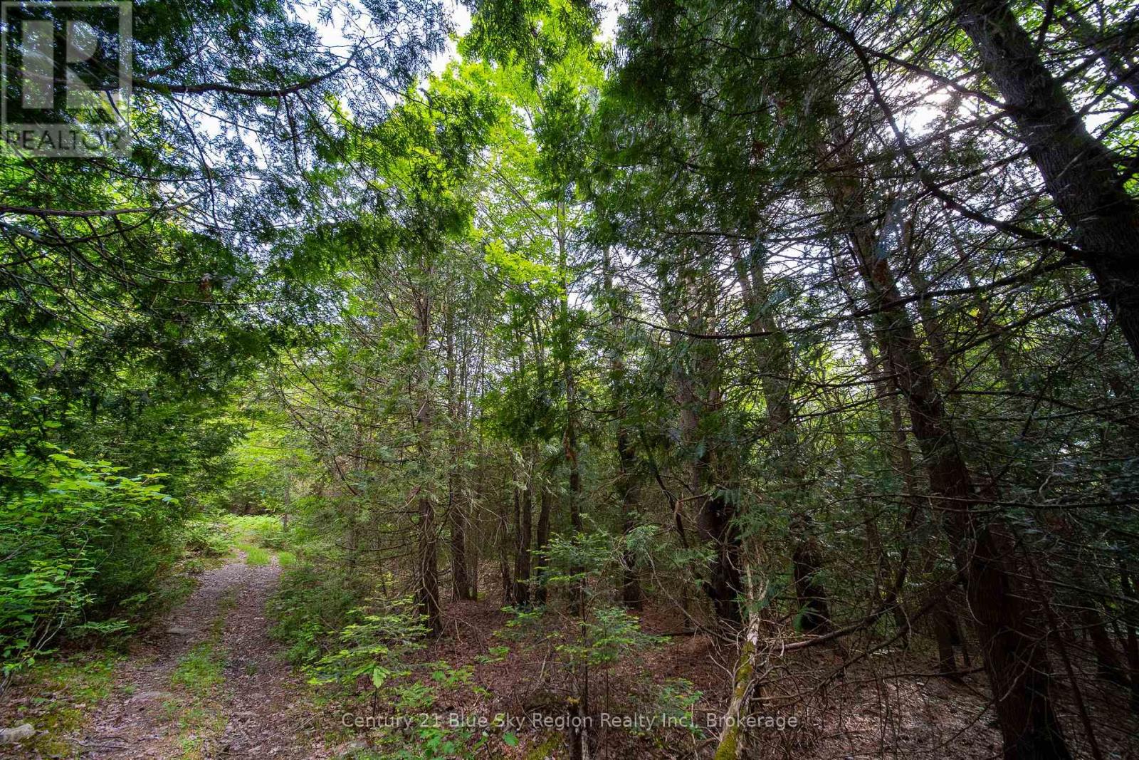 Lot 20 Collins Drive, North Bay, Ontario  P1B 8G3 - Photo 5 - X12234804