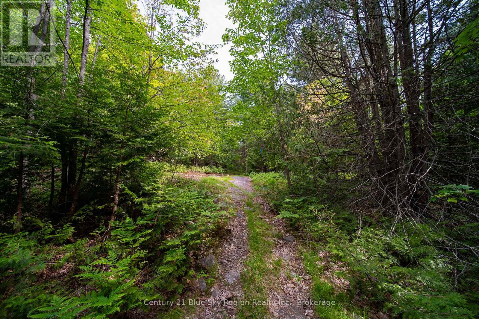 Lot 20 Collins Drive, North Bay, Ontario  P1B 8G3 - Photo 6 - X12234804
