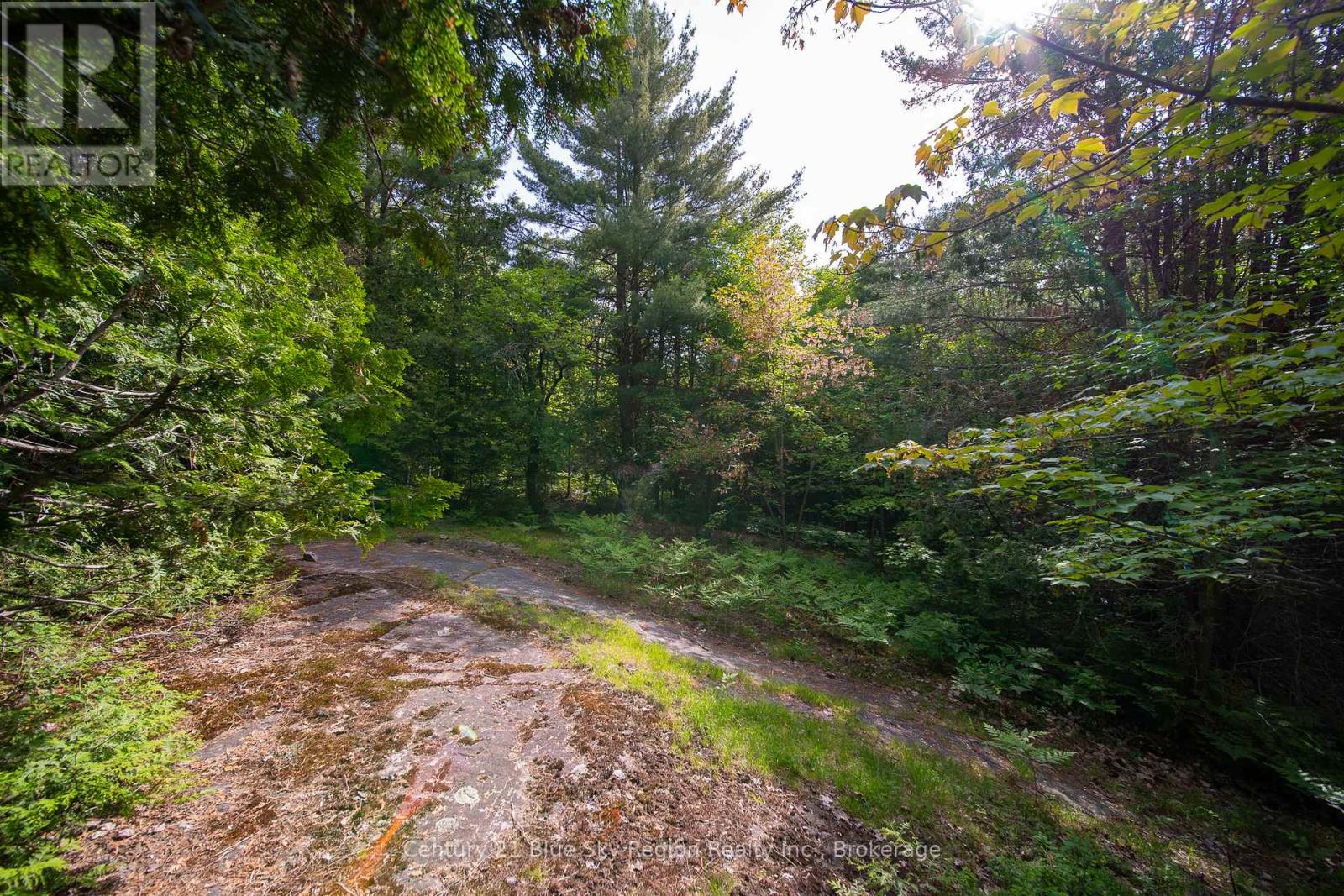 Lot 20 Collins Drive, North Bay, Ontario  P1B 8G3 - Photo 7 - X12234804