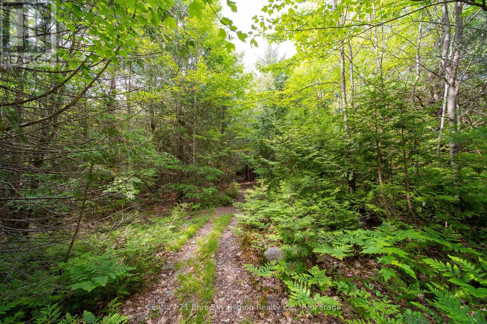 Lot 20 Collins Drive, North Bay, Ontario  P1B 8G3 - Photo 8 - X12234804