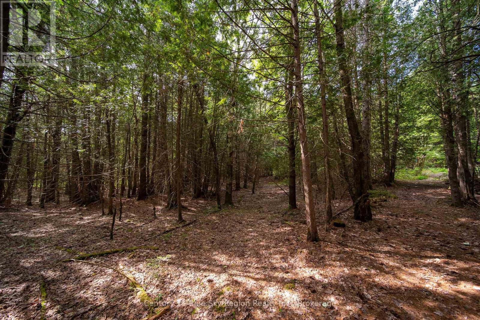 Lot 20 Collins Drive, North Bay, Ontario  P1B 8G3 - Photo 9 - X12234804