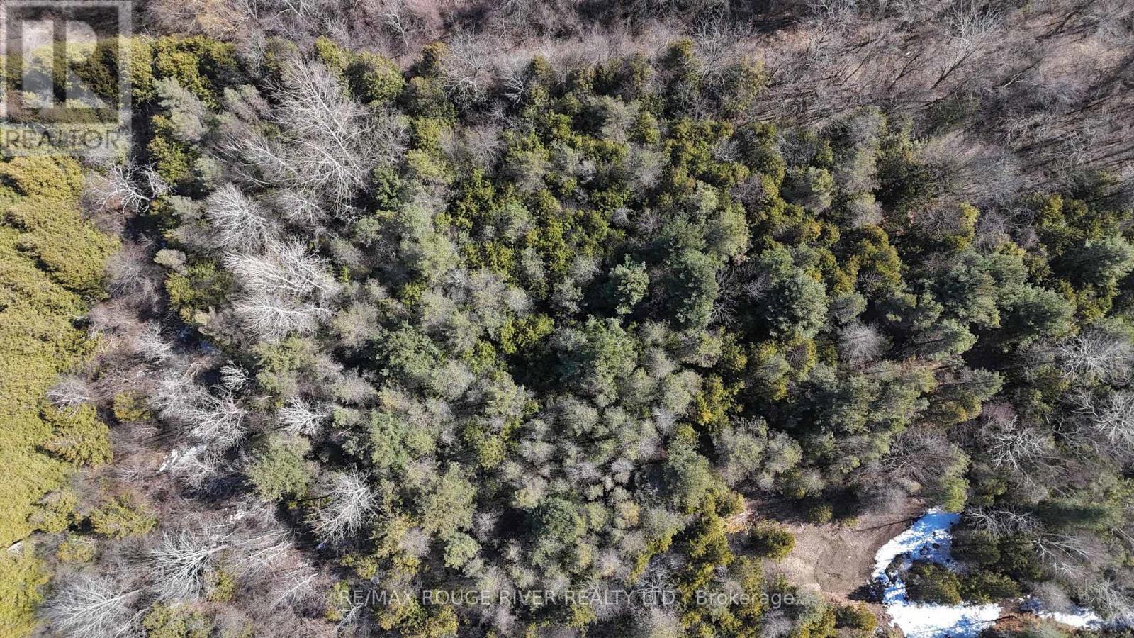 0 Slater Street, Hamilton Township, Ontario  K9A 4J9 - Photo 18 - X12234920