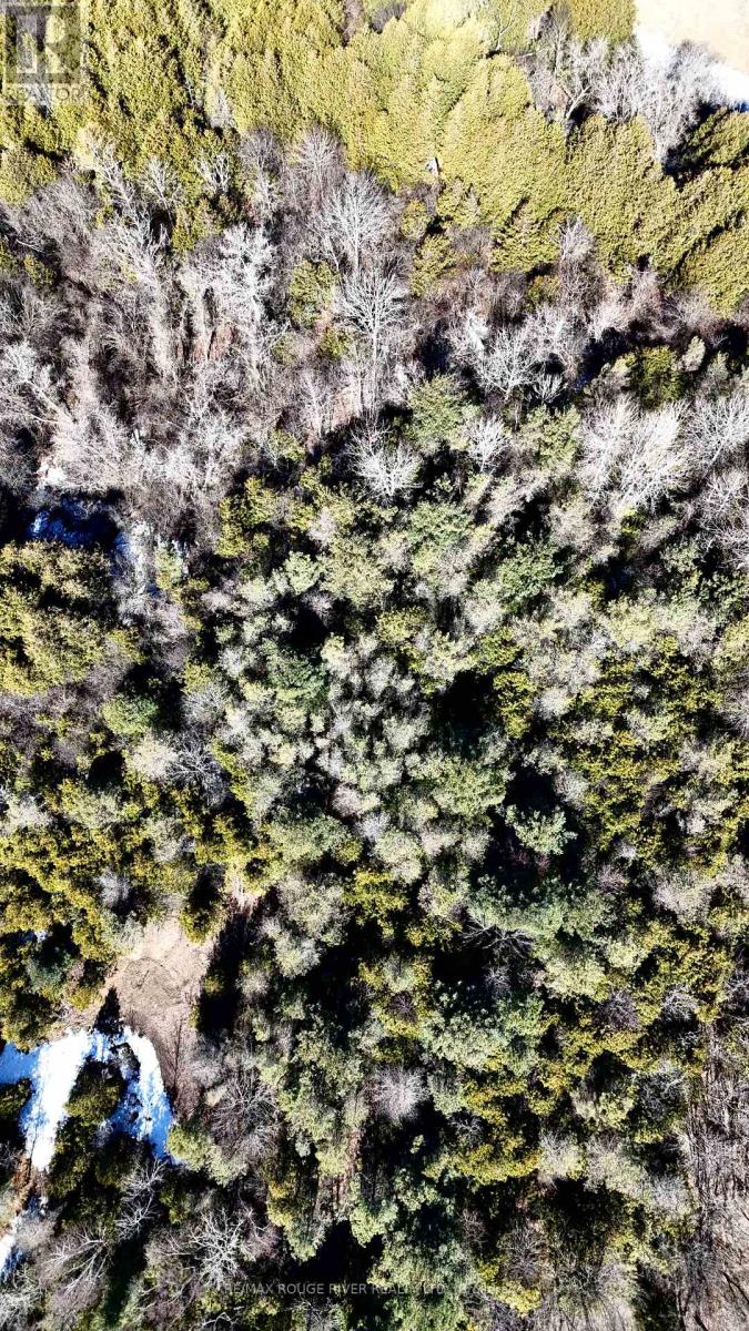 0 Slater Street, Hamilton Township, Ontario  K9A 4J9 - Photo 19 - X12234920