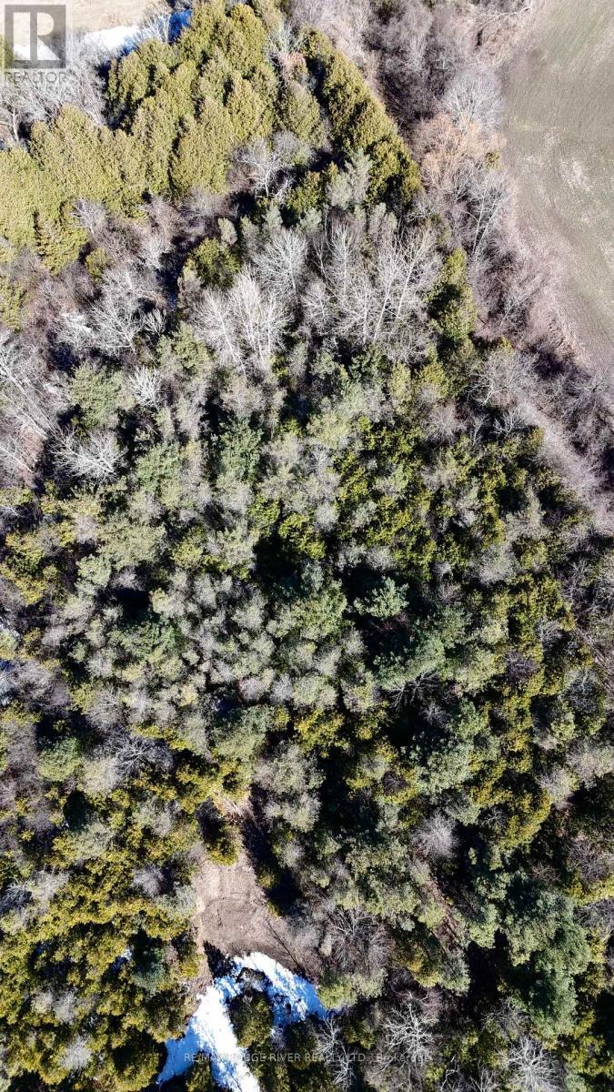 0 Slater Street, Hamilton Township, Ontario  K9A 4J9 - Photo 20 - X12234920