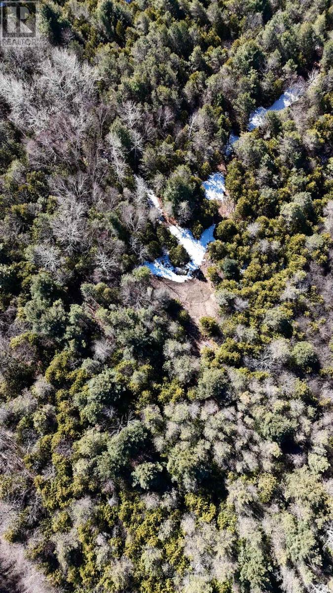 0 Slater Street, Hamilton Township, Ontario  K9A 4J9 - Photo 21 - X12234920