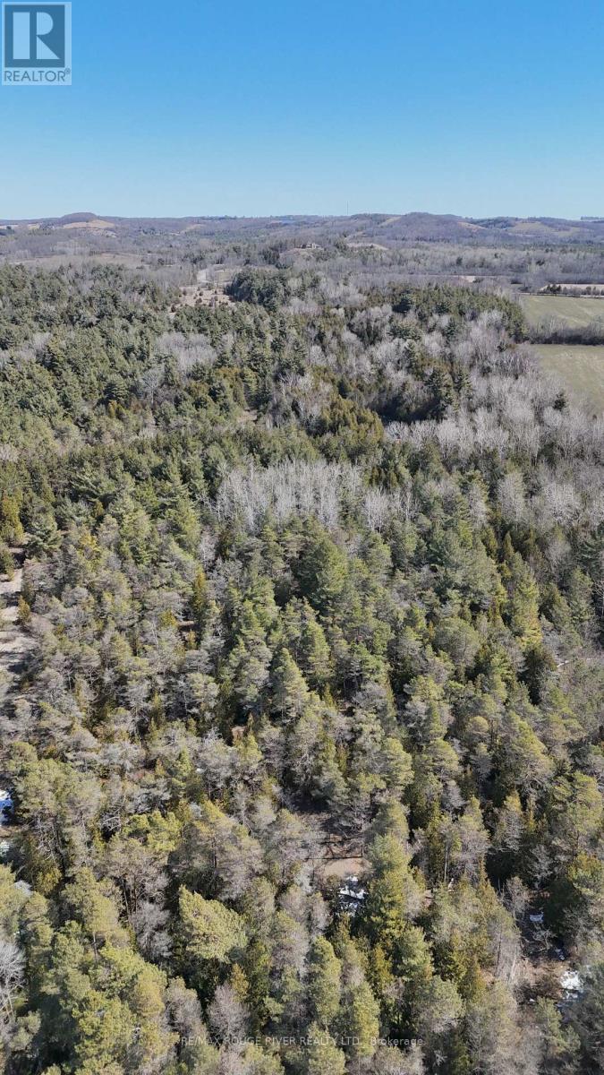 0 Slater Street, Hamilton Township, Ontario  K9A 4J9 - Photo 27 - X12234920