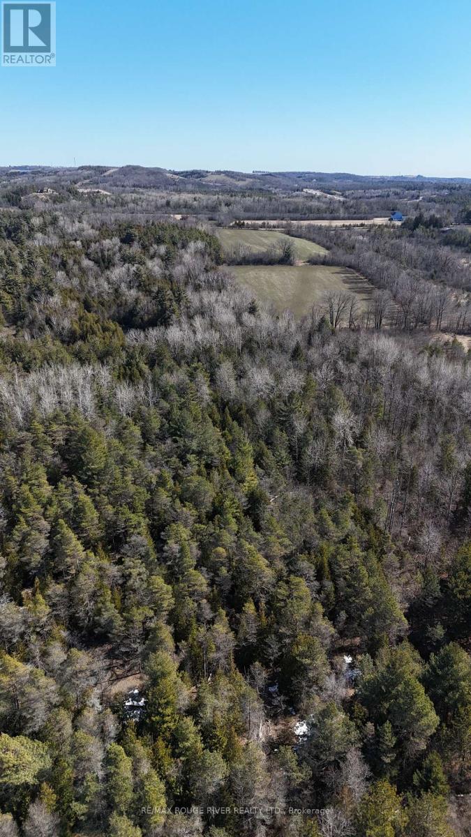 0 Slater Street, Hamilton Township, Ontario  K9A 4J9 - Photo 28 - X12234920