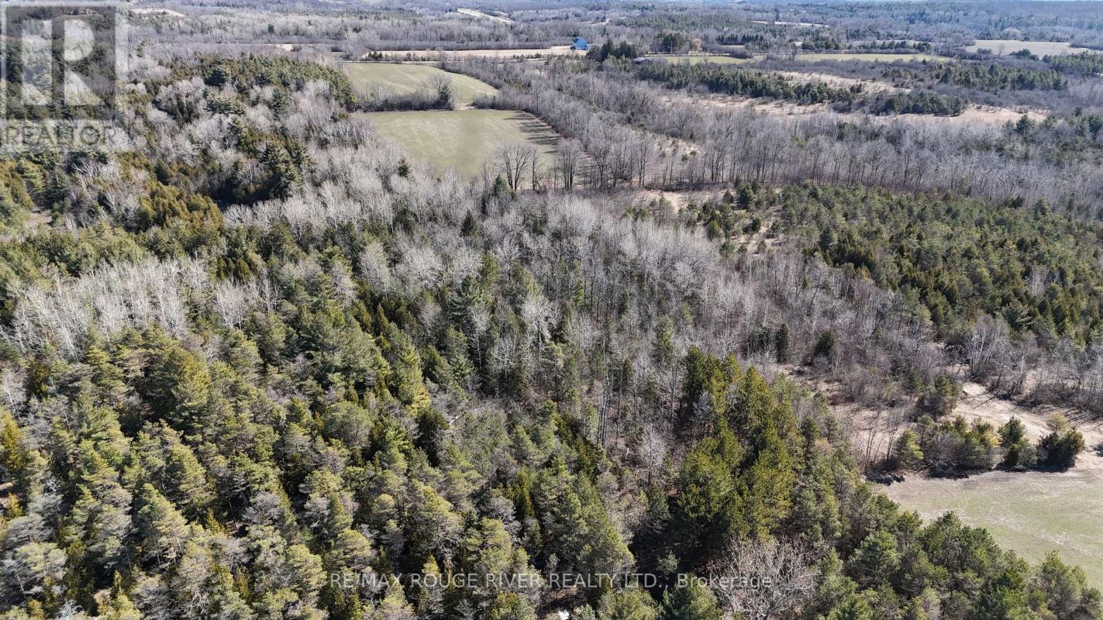 0 Slater Street, Hamilton Township, Ontario  K9A 4J9 - Photo 30 - X12234920