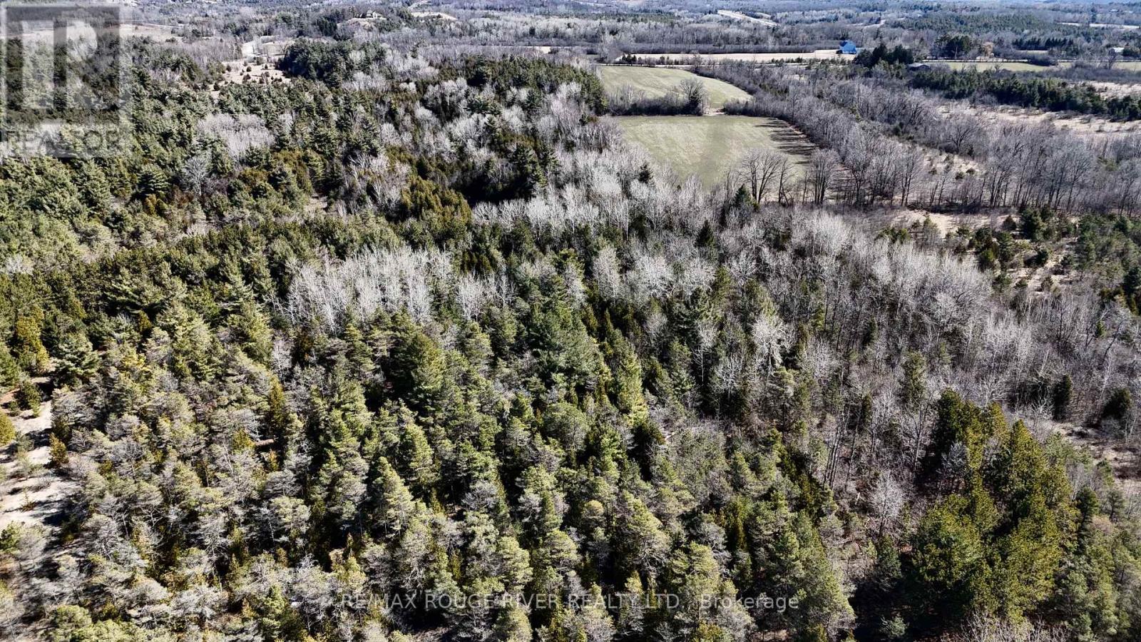 0 Slater Street, Hamilton Township, Ontario  K9A 4J9 - Photo 31 - X12234920