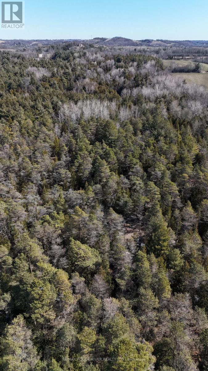 0 Slater Street, Hamilton Township, Ontario  K9A 4J9 - Photo 33 - X12234920