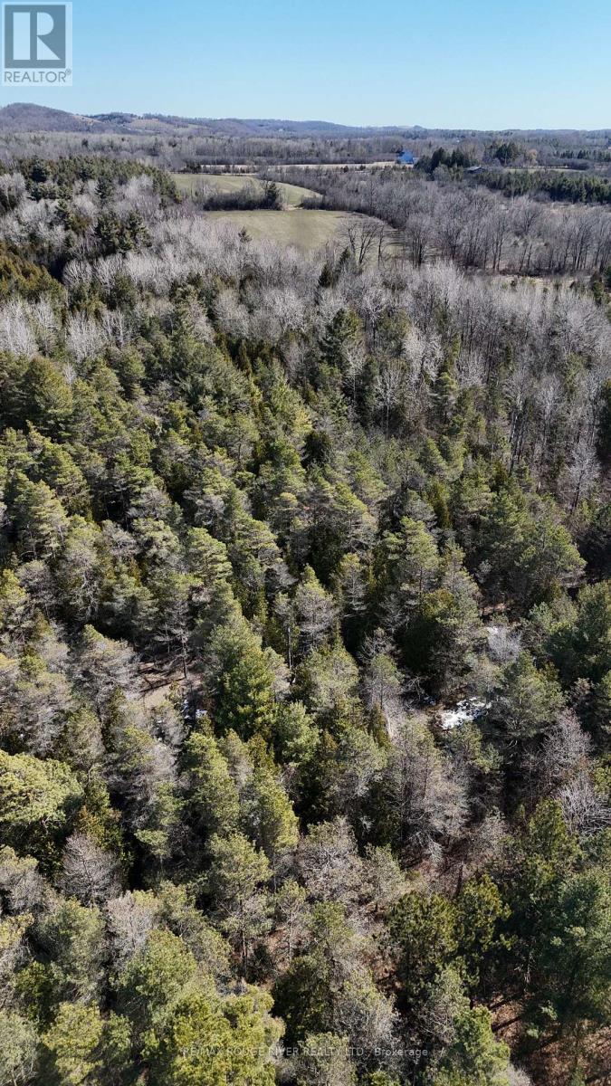 0 Slater Street, Hamilton Township, Ontario  K9A 4J9 - Photo 34 - X12234920