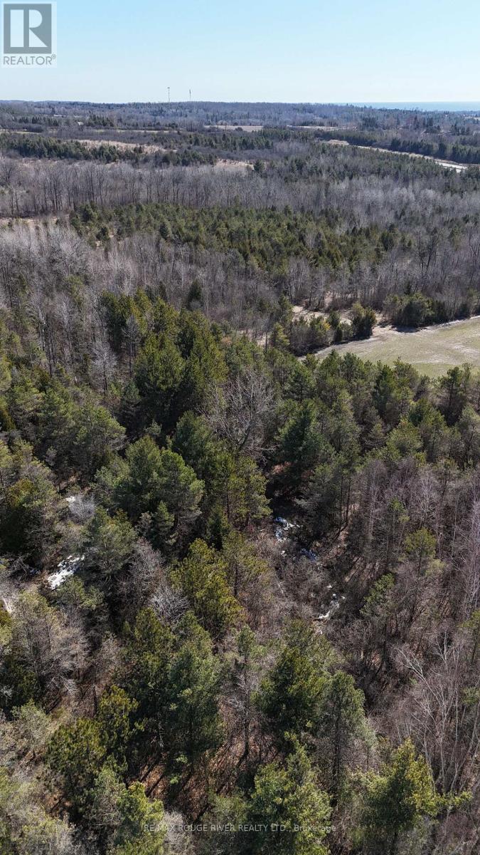 0 Slater Street, Hamilton Township, Ontario  K9A 4J9 - Photo 36 - X12234920