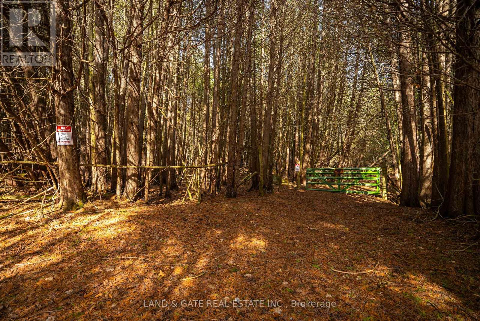 9015 Mosport Road, Clarington, Ontario  L0B 1M0 - Photo 45 - E12235091