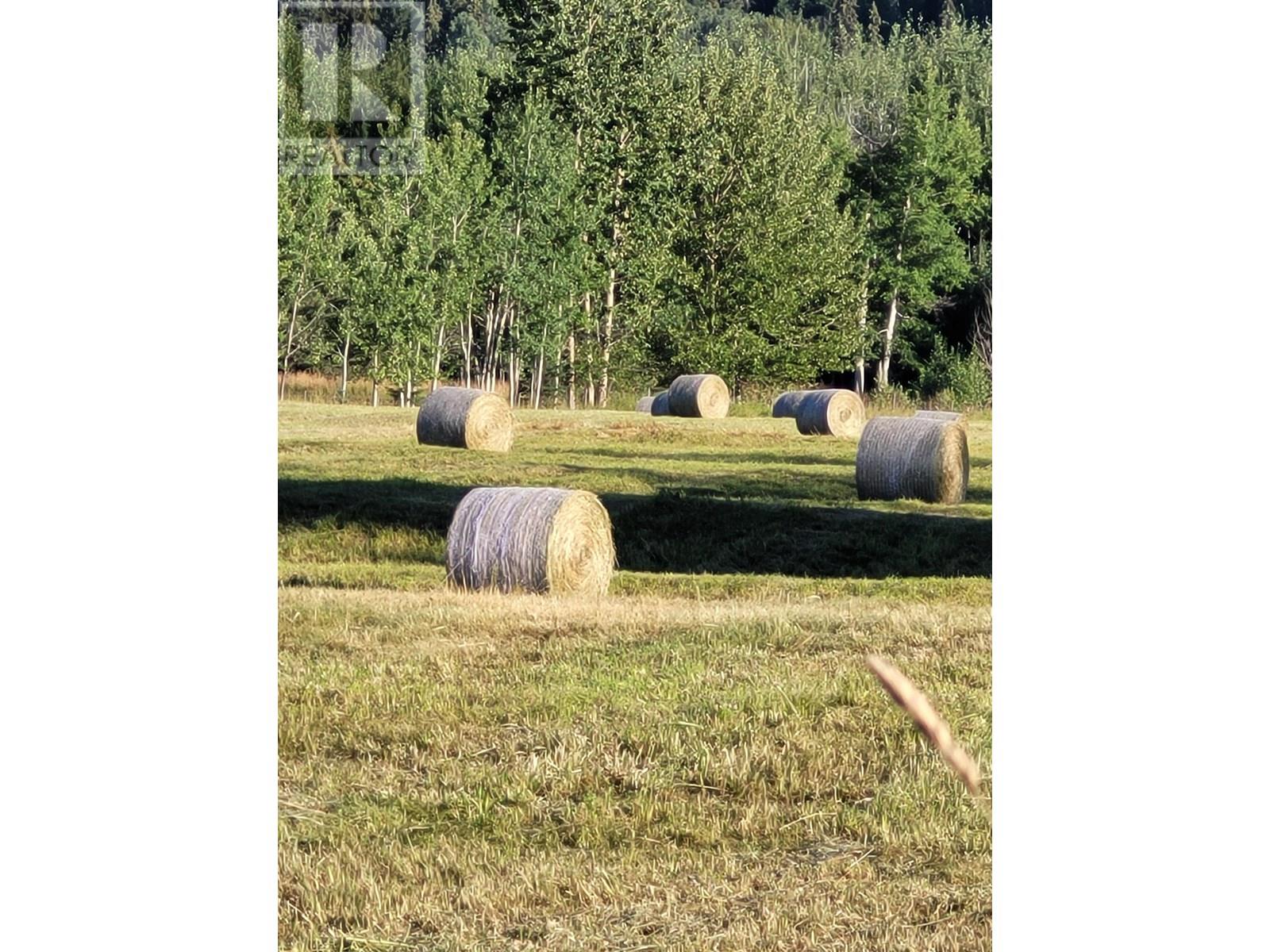 6175 Beaver Forest Road, Prince George, British Columbia  V2K 5E5 - Photo 12 - R3018144