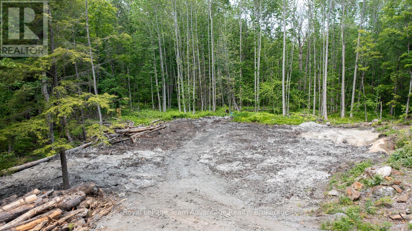 40 Sunnyshore Park Drive, Mckellar, Ontario  P2A 0B5 - Photo 6 - X12215501