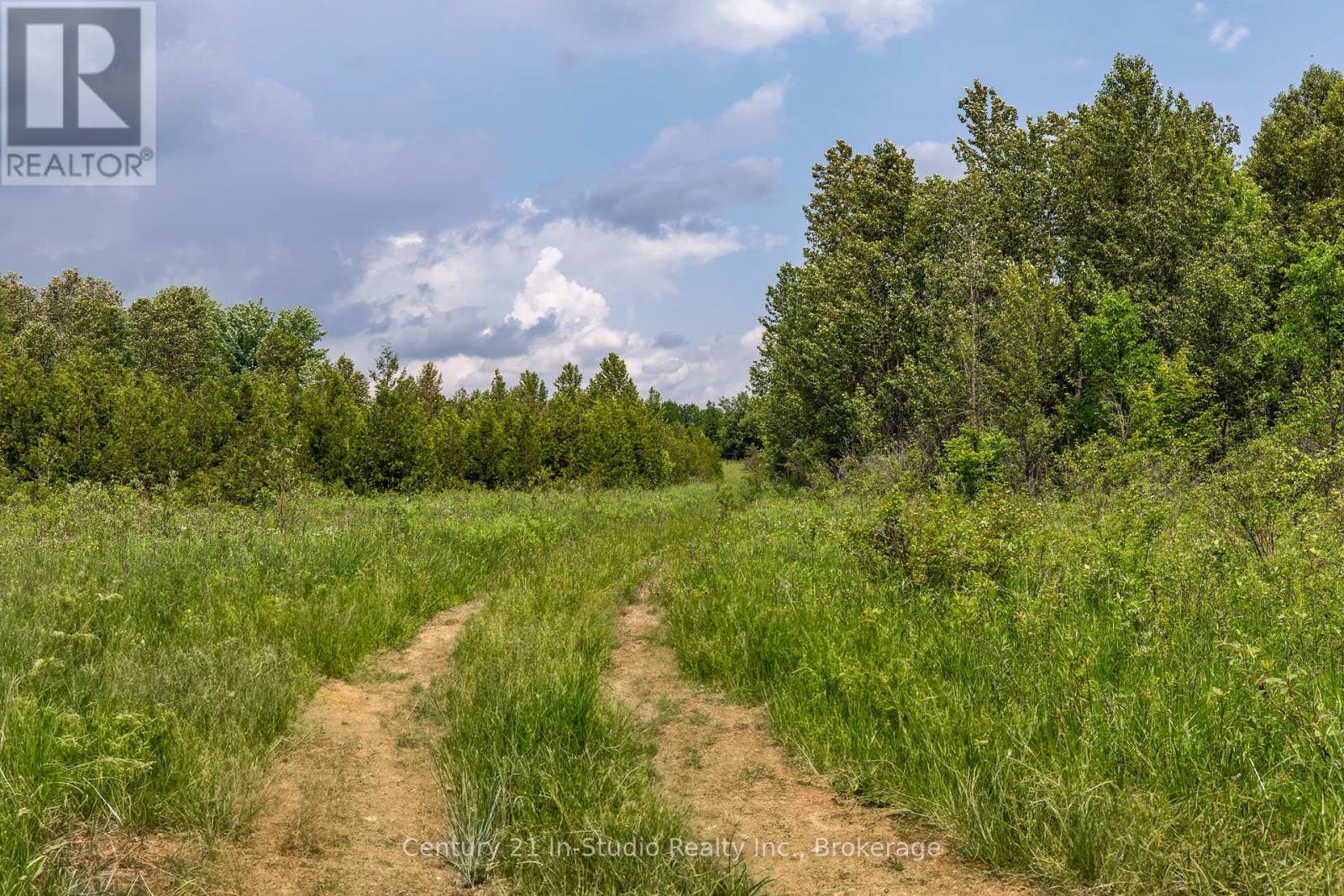 135389 Concession 8 Road, Chatsworth, Ontario  N0H 1K0 - Photo 25 - X12235333