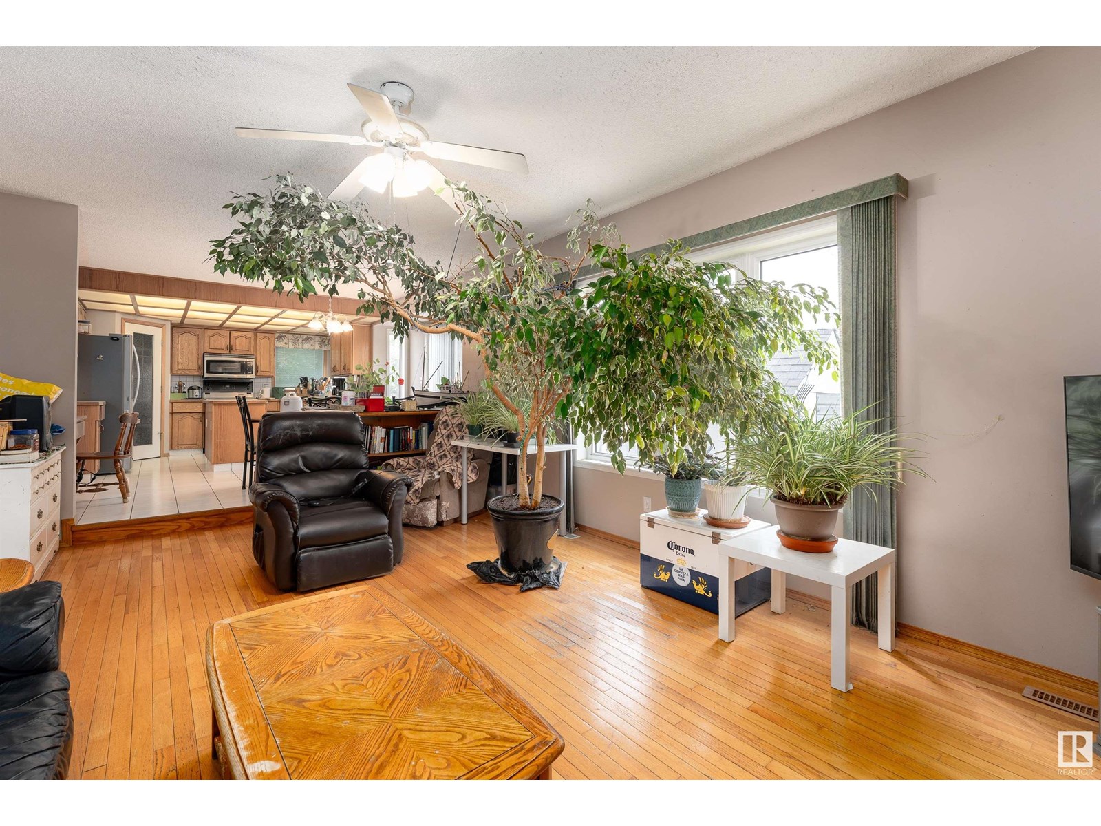 15316 59 St Nw, Edmonton, Alberta  T5Y 2V5 - Photo 13 - E4443438
