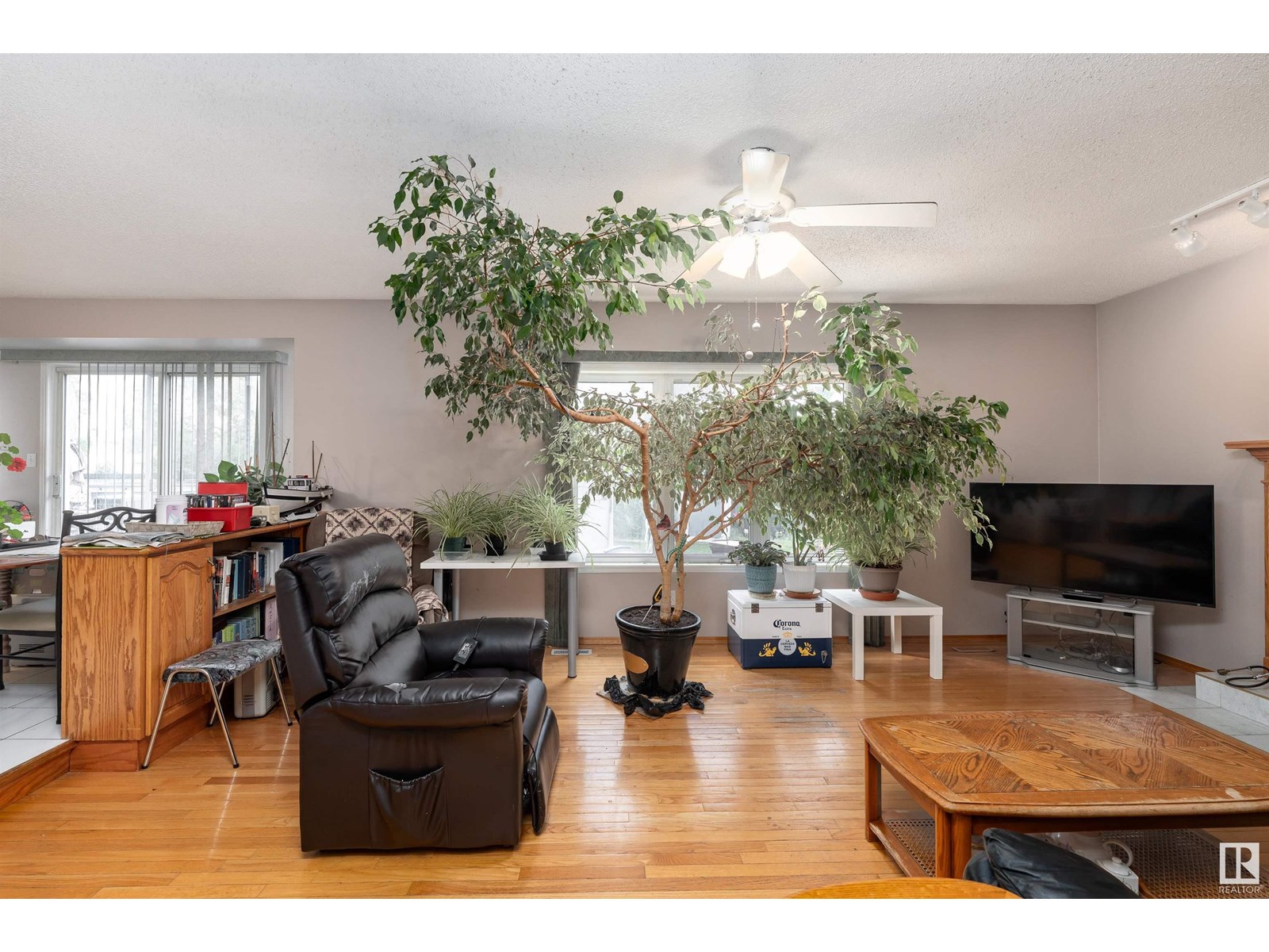 15316 59 St Nw, Edmonton, Alberta  T5Y 2V5 - Photo 14 - E4443438