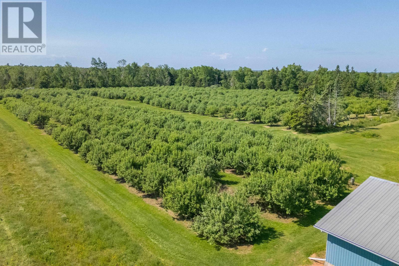 513 Rte 17, Lower Montague, Prince Edward Island C0A 1R0 - Photo 30 - 202515262