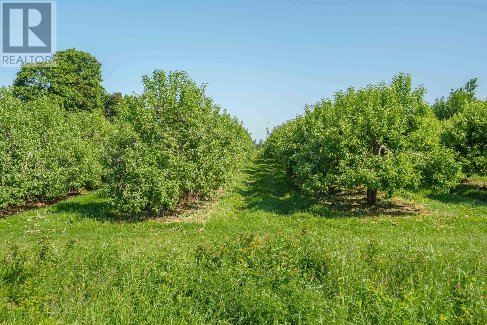 513 Rte 17, Lower Montague, Prince Edward Island C0A 1R0 - Photo 32 - 202515262