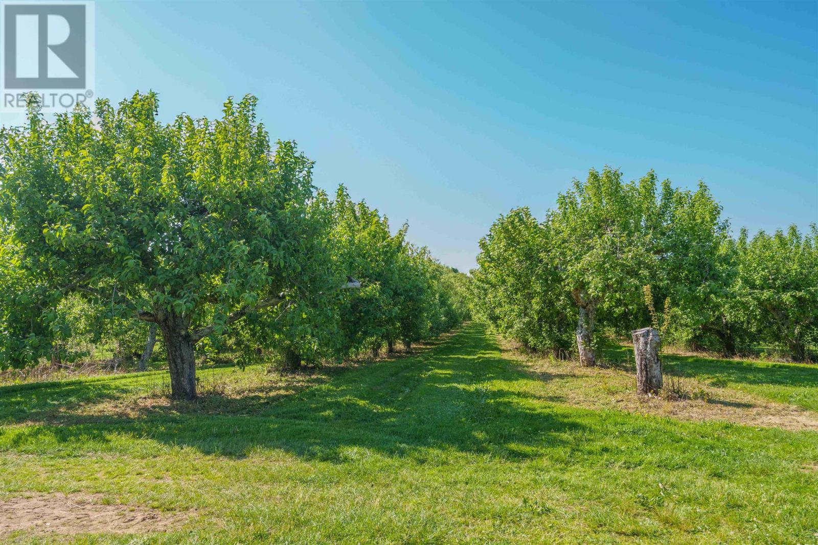 513 Rte 17, Lower Montague, Prince Edward Island C0A 1R0 - Photo 6 - 202515262