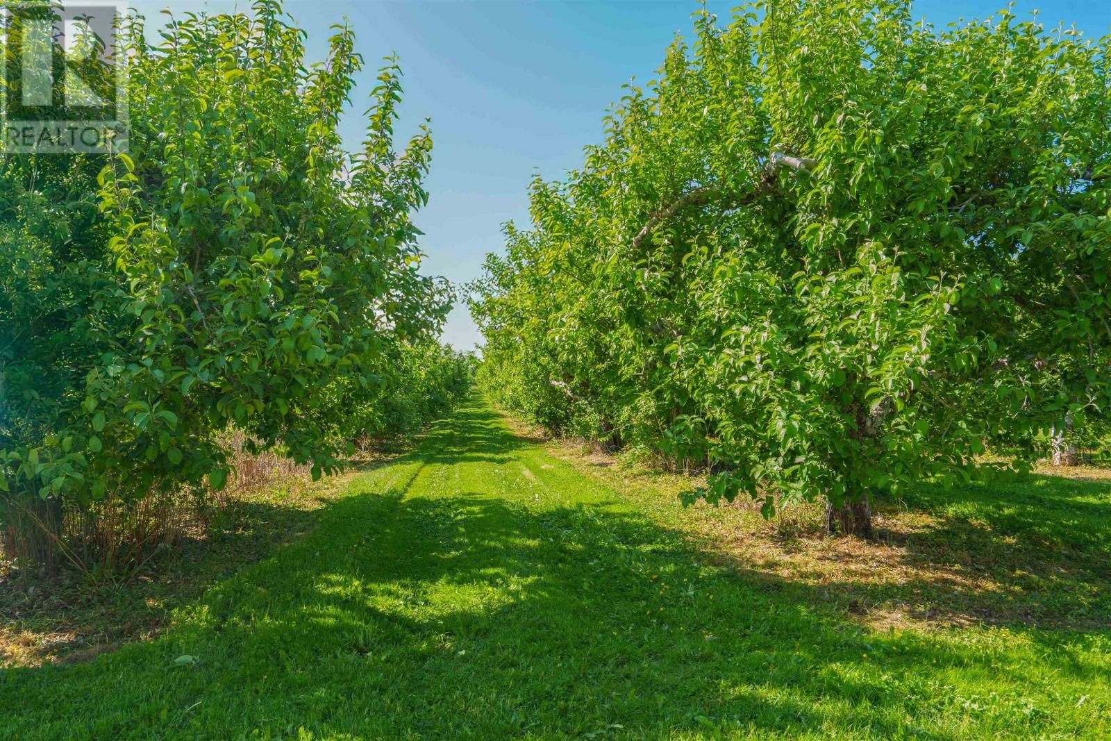513 Rte 17, Lower Montague, Prince Edward Island C0A 1R0 - Photo 7 - 202515262