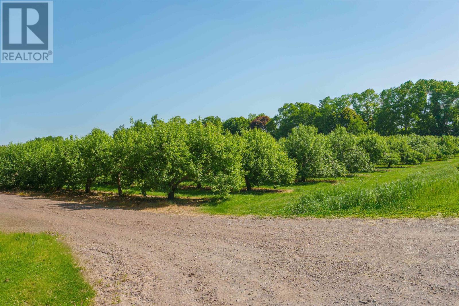 513 Rte 17, Lower Montague, Prince Edward Island C0A 1R0 - Photo 8 - 202515262