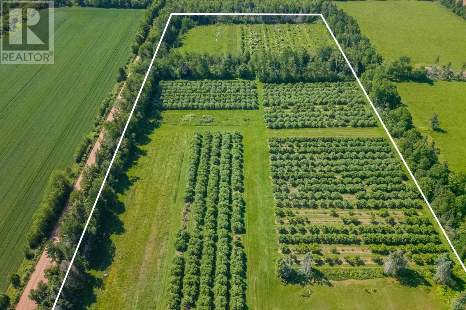 513 Rte 17, Lower Montague, Prince Edward Island C0A 1R0 - Photo 2 - 202515261