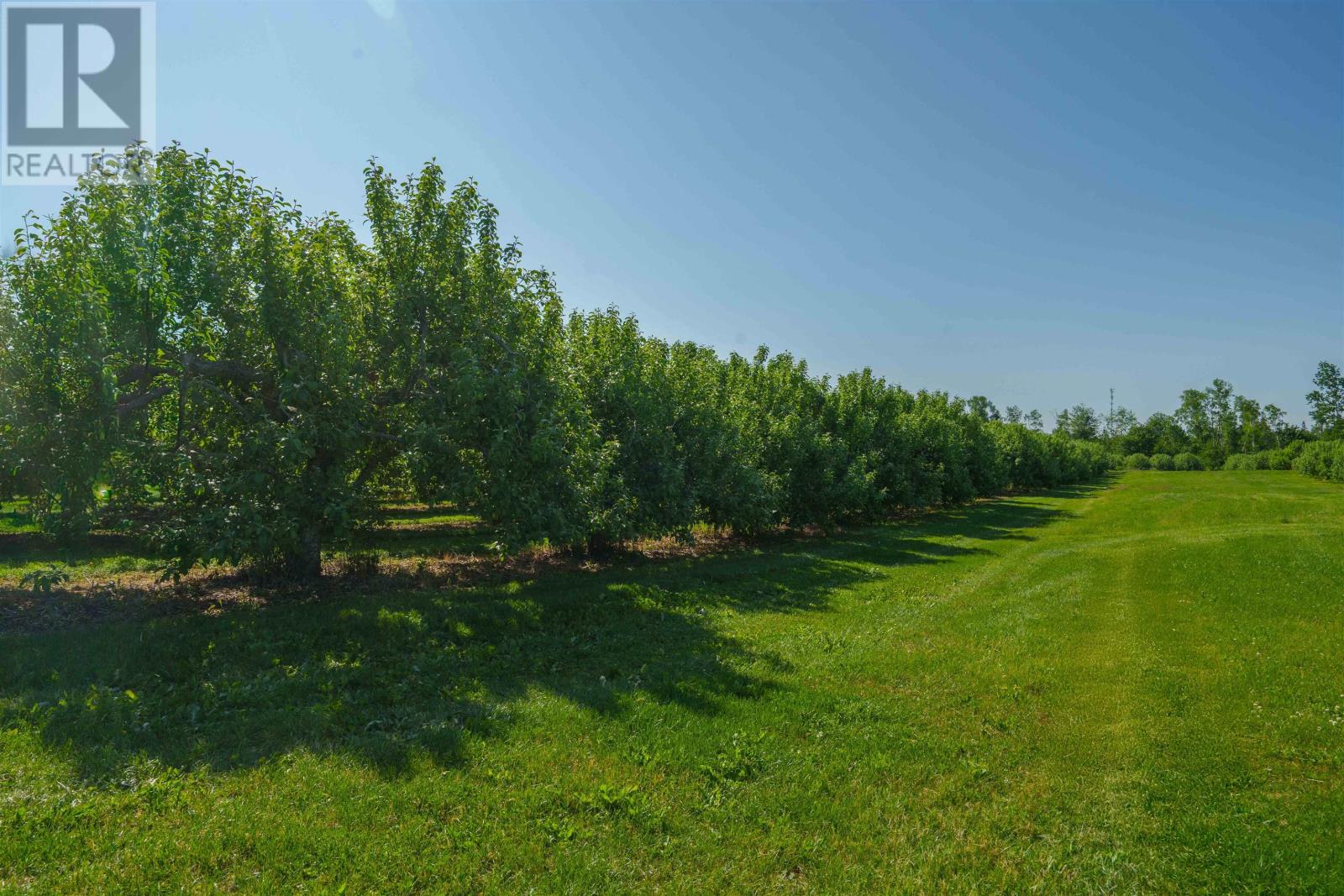 513 Rte 17, Lower Montague, Prince Edward Island C0A 1R0 - Photo 3 - 202515261