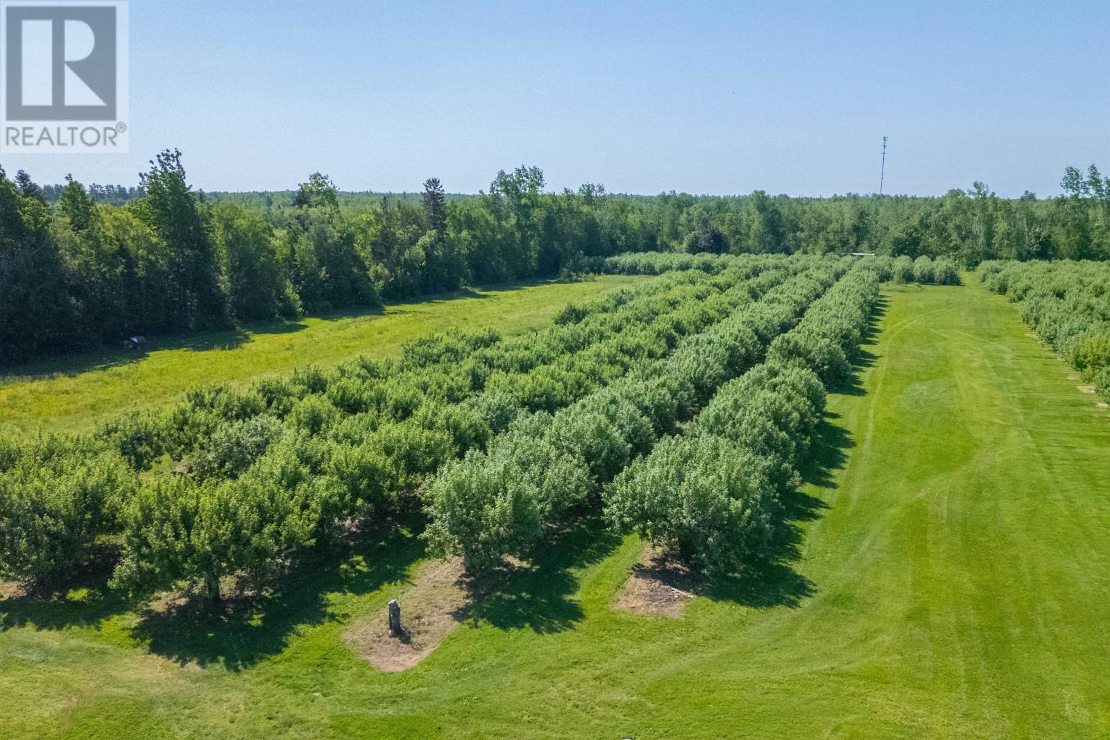 513 Rte 17, Lower Montague, Prince Edward Island C0A 1R0 - Photo 31 - 202515261