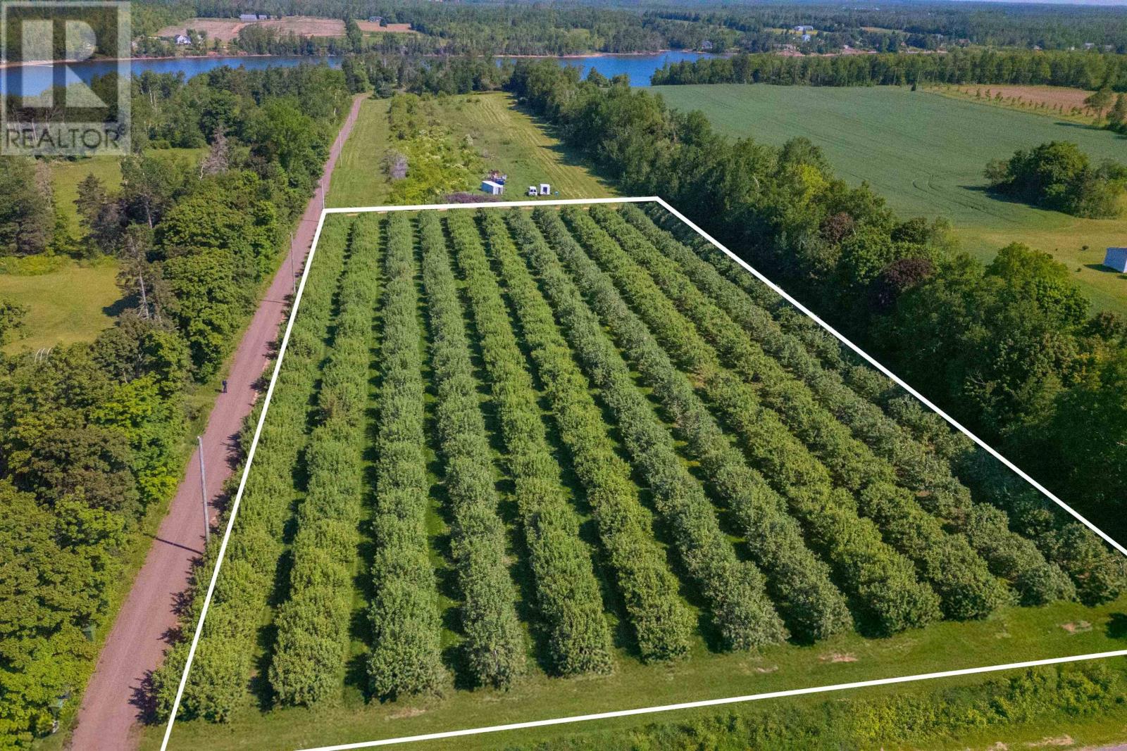 513 Rte 17, Lower Montague, Prince Edward Island C0A 1R0 - Photo 33 - 202515261