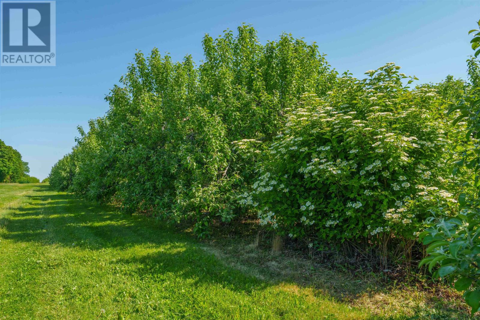 513 Rte 17, Lower Montague, Prince Edward Island C0A 1R0 - Photo 7 - 202515261