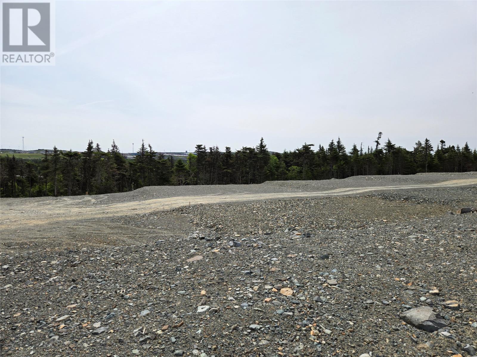 87 Trenton Drive, Paradise, Newfoundland & Labrador  A1L 4B7 - Photo 4 - 1286646