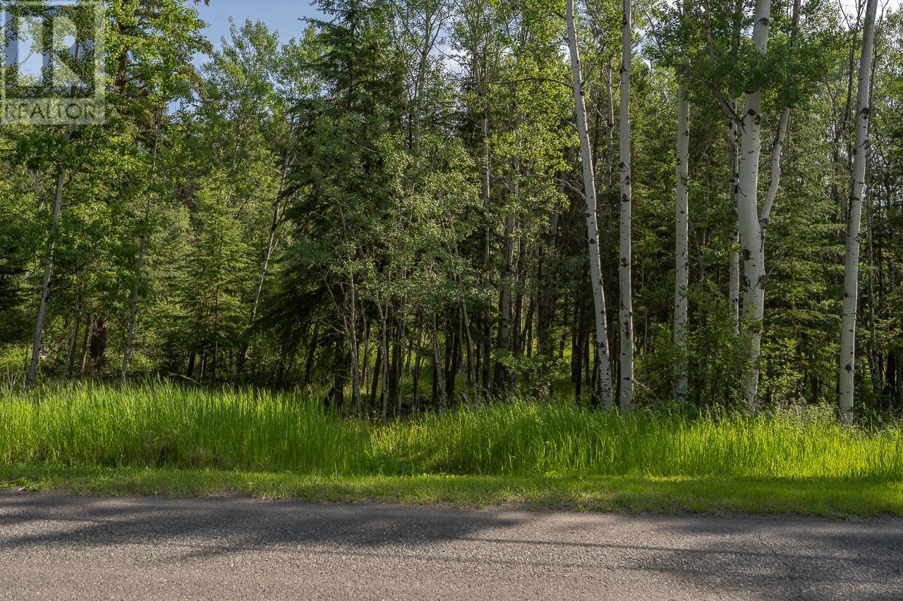 5324 Kallum Drive, 108 Mile Ranch, British Columbia  V0K 2Z0 - Photo 36 - R3018188