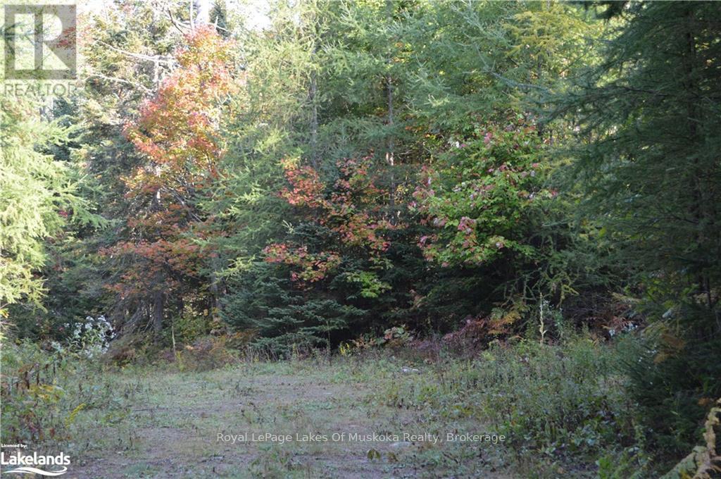 Lot 20 Concession 5 Road, Huntsville, Ontario  P1H 2J3 - Photo 3 - X12235737