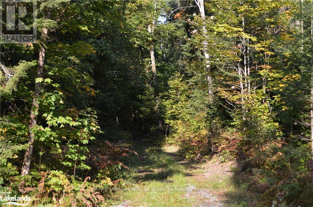 Lot 20 Concession 5 Road, Huntsville, Ontario  P1H 2J3 - Photo 4 - X12235737