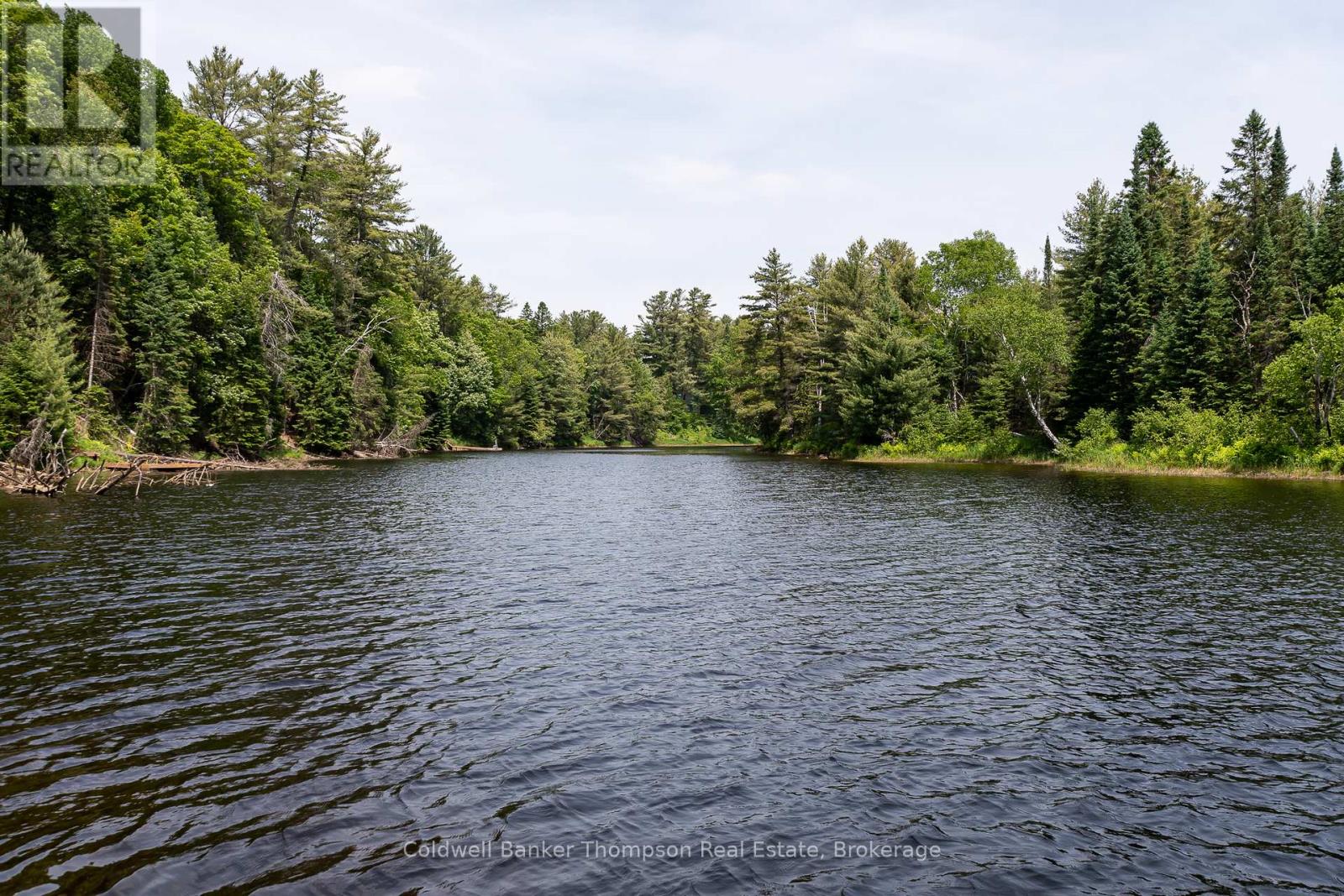 57 Hiawatha Drive, Huntsville, Ontario  P0B 1L0 - Photo 47 - X12235800