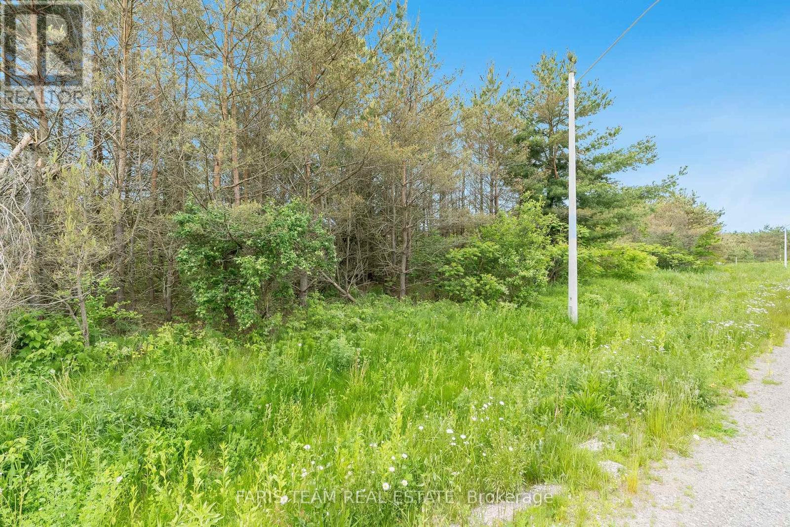 Lot 30 Rue Eric, Tiny, Ontario  L9M 0H1 - Photo 3 - S12061343
