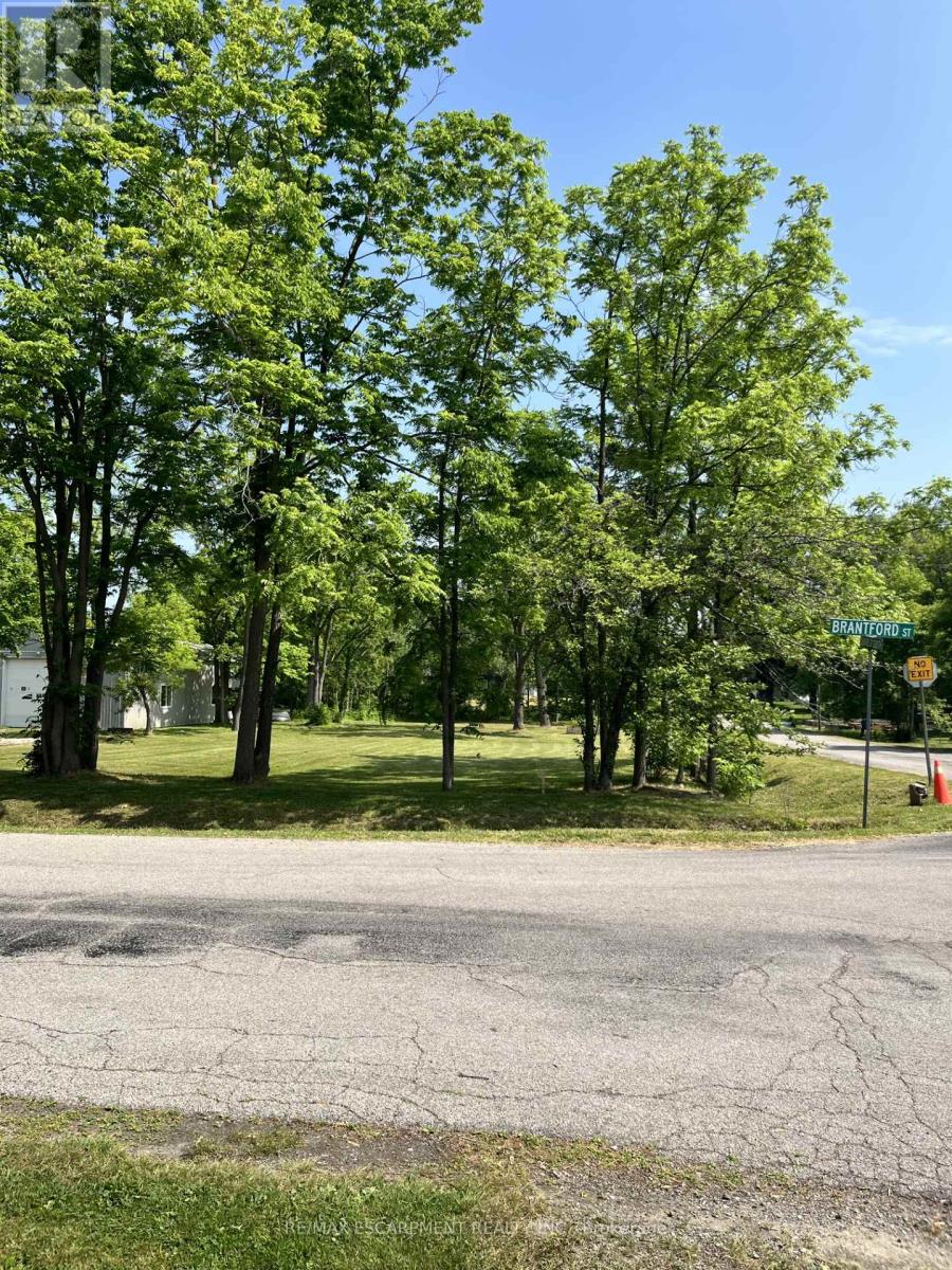 Lot 5 Centre Street S, Brant, Ontario N3T 5L9 - Photo 2 - X12230192