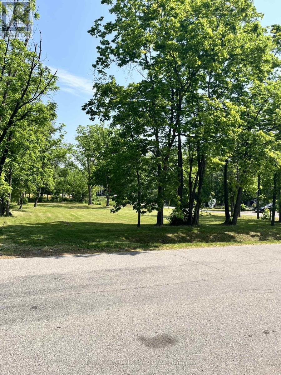 Lot 5 Centre Street S, Brant, Ontario N3T 5L9 - Photo 3 - X12230192