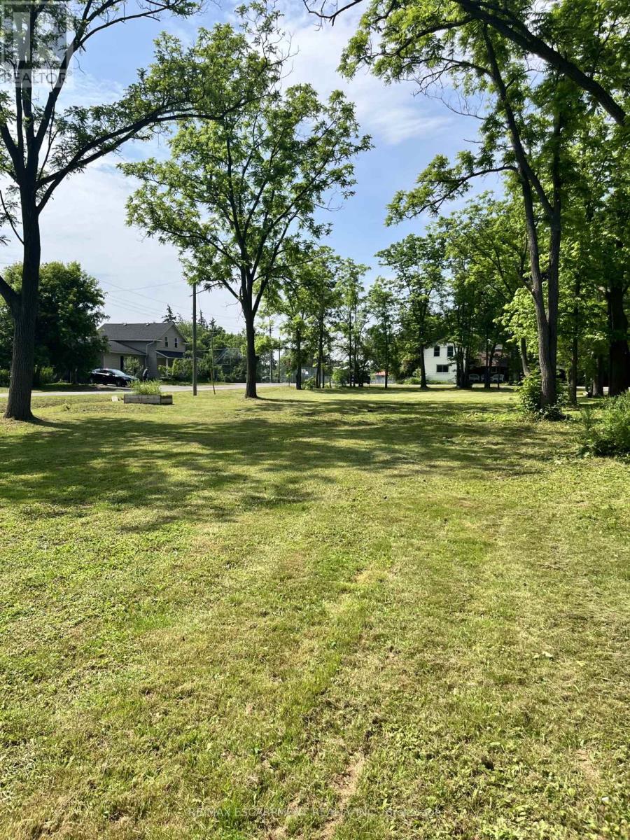 Lot 5 Centre Street S, Brant, Ontario N3T 5L9 - Photo 5 - X12230192