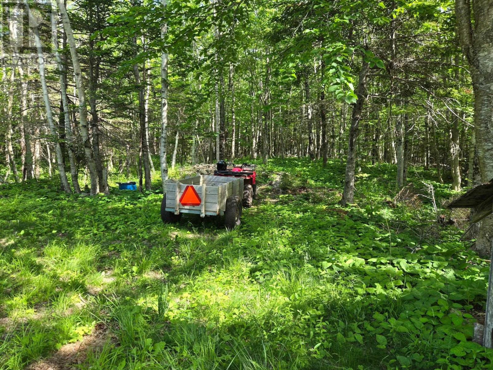 Lots Broad Cove Road, Culloden, Nova Scotia  B0V 1A0 - Photo 18 - 202515277