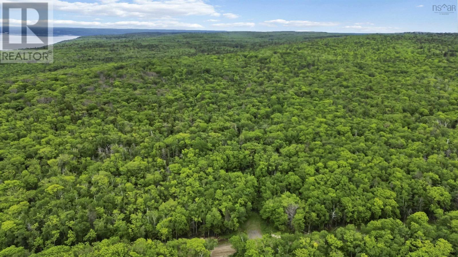 Lots Broad Cove Road, Culloden, Nova Scotia  B0V 1A0 - Photo 19 - 202515277