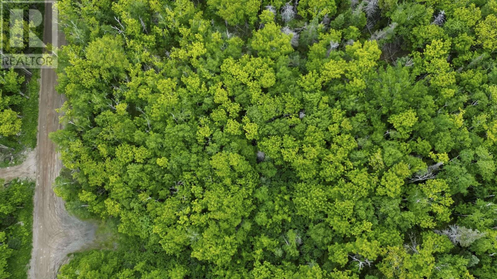 Lots Broad Cove Road, Culloden, Nova Scotia  B0V 1A0 - Photo 2 - 202515277