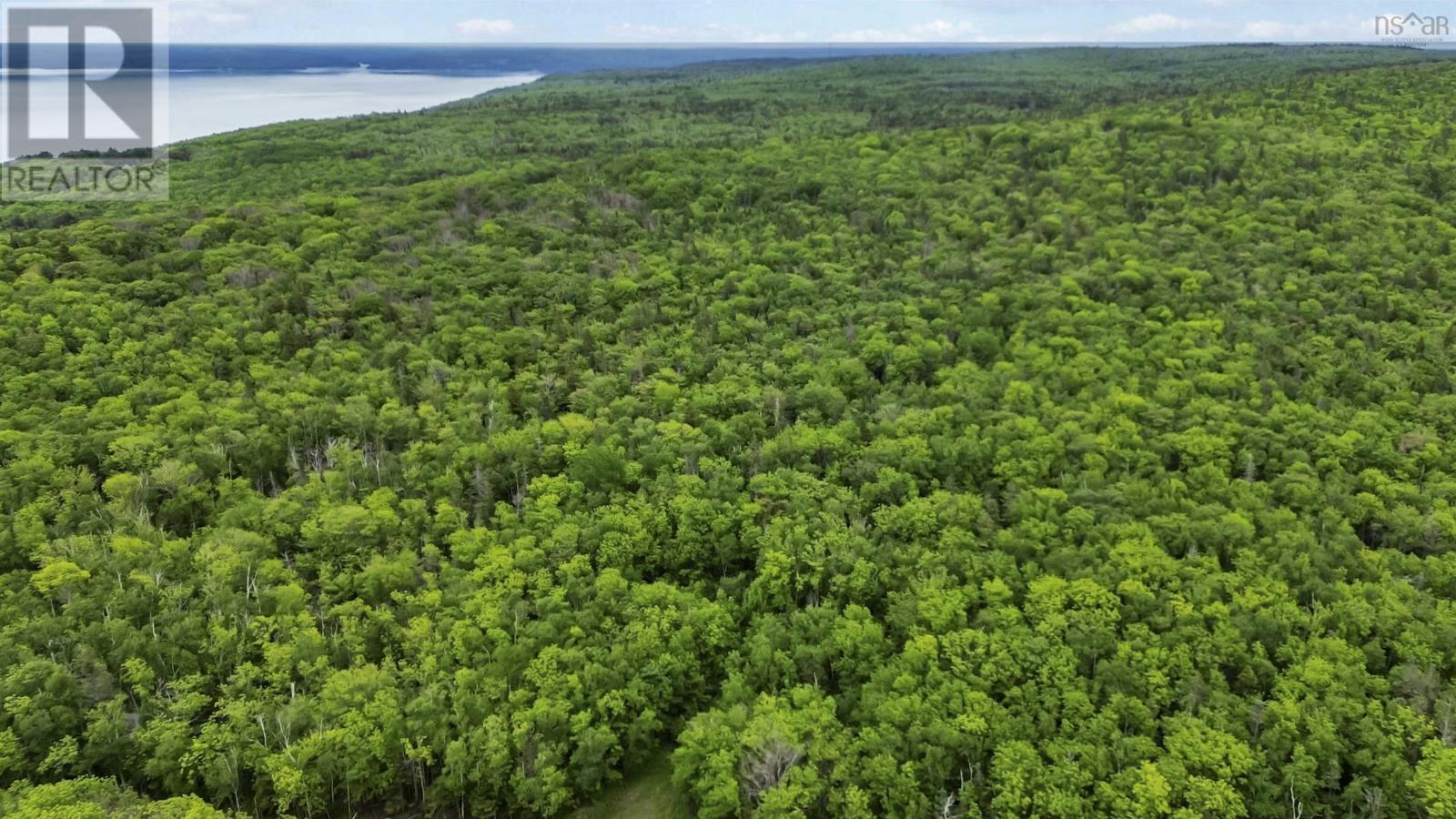 Lots Broad Cove Road, Culloden, Nova Scotia  B0V 1A0 - Photo 20 - 202515277