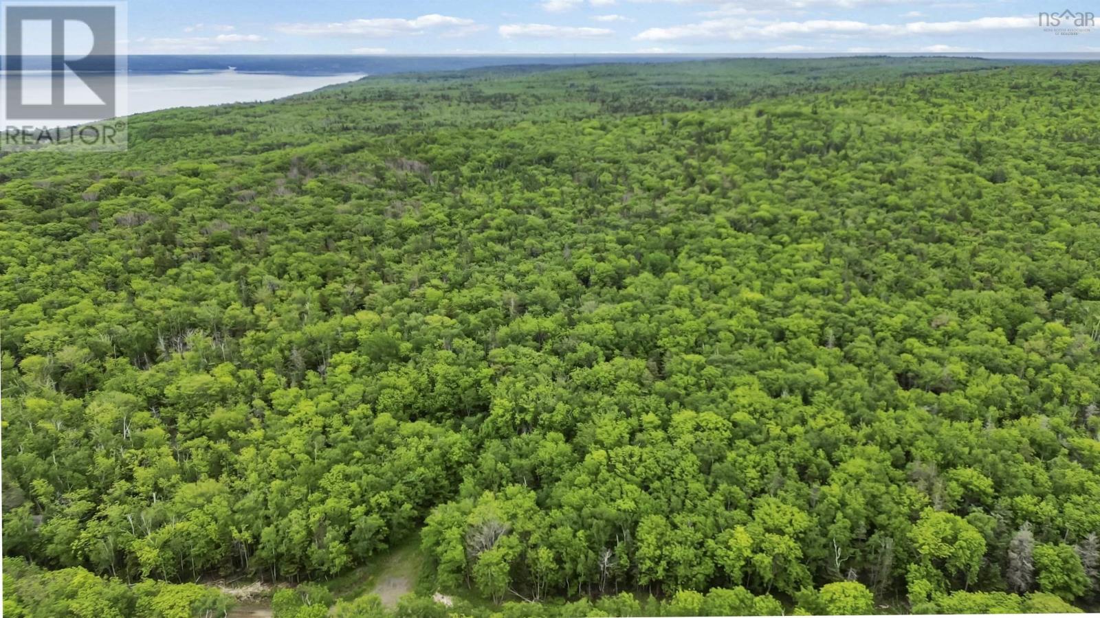 Lots Broad Cove Road, Culloden, Nova Scotia  B0V 1A0 - Photo 22 - 202515277