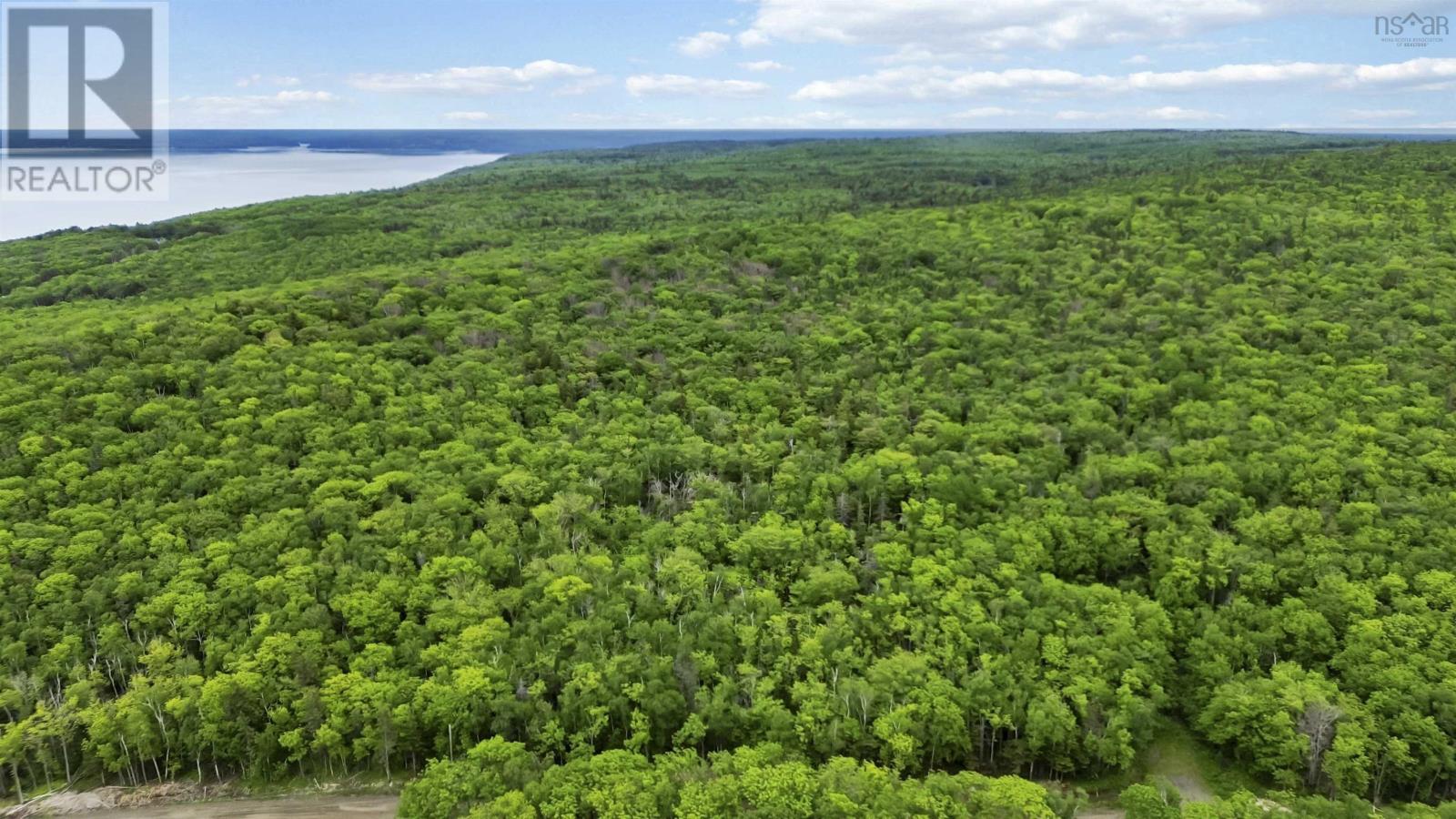 Lots Broad Cove Road, Culloden, Nova Scotia  B0V 1A0 - Photo 23 - 202515277