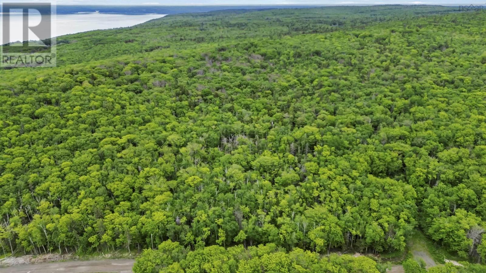 Lots Broad Cove Road, Culloden, Nova Scotia  B0V 1A0 - Photo 24 - 202515277