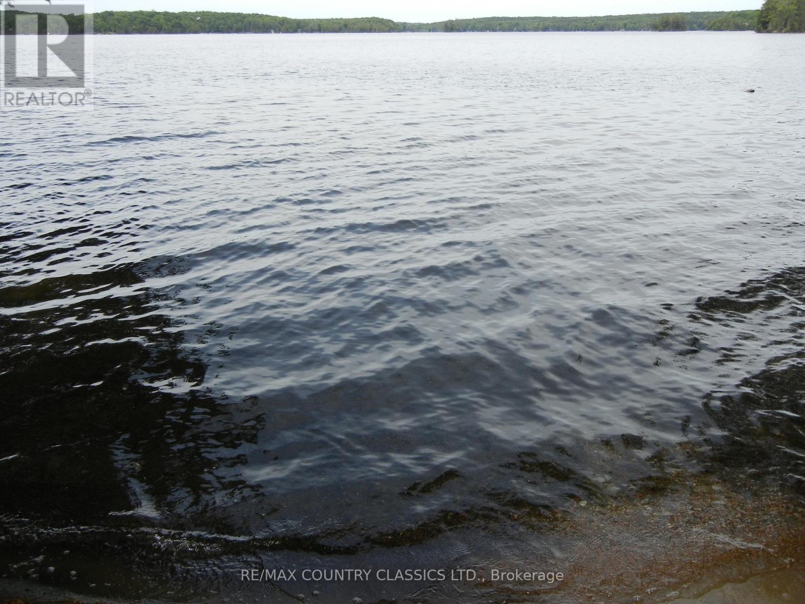 37 Goldfinch Lane, North Kawartha, Ontario  K0L 1A0 - Photo 25 - X12235888