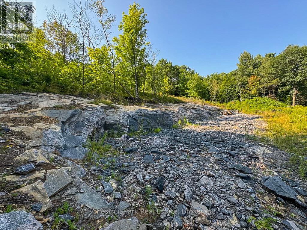 1681 Muskoka Beach Road, Bracebridge, Ontario  P1P 1R1 - Photo 2 - X12235841